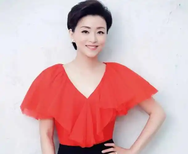 这个人就是杨澜了,相信大家都知道杨澜,作为电视的主持人她真的很优秀