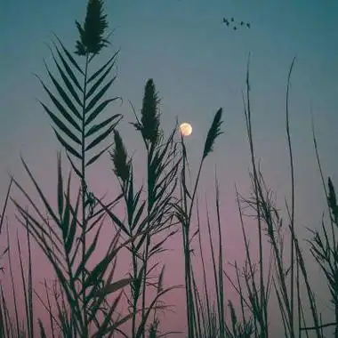 优雅可爱小清新的云朵风景头像 精致唯美很高清的风景头像