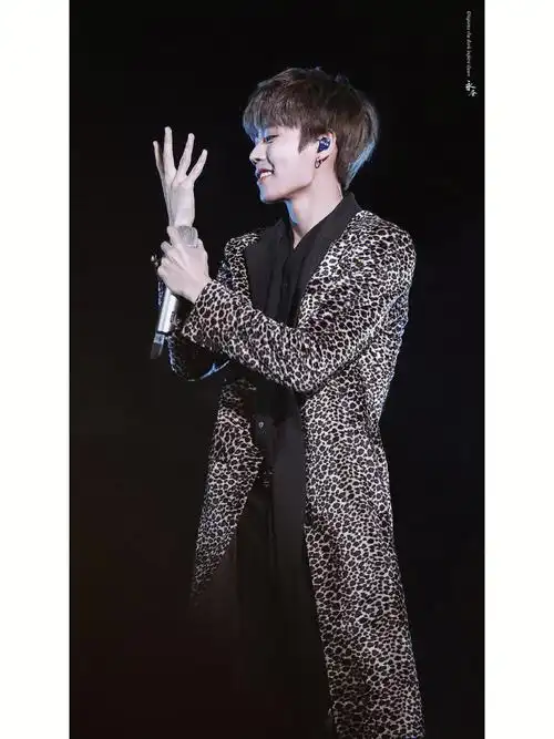 林彦俊小豹纹手控壁纸831