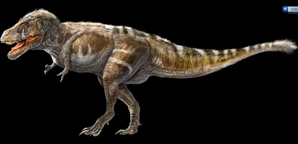 世界最大亚洲唯一的巨型诸城暴龙