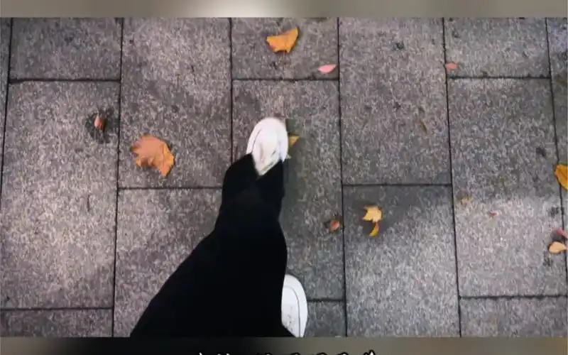 晚上一个人散步试试这样拍