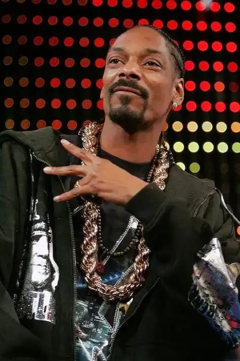 一个说唱歌手没有个辨识度高的 - 抖音