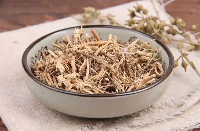 第121天 | 每天学习一味中药—白前!