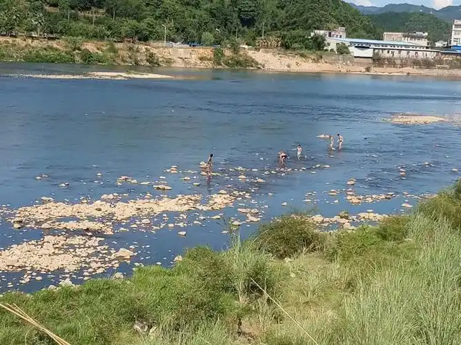 凯旋城这边的河里有5个十一二岁的孩子在河里游泳