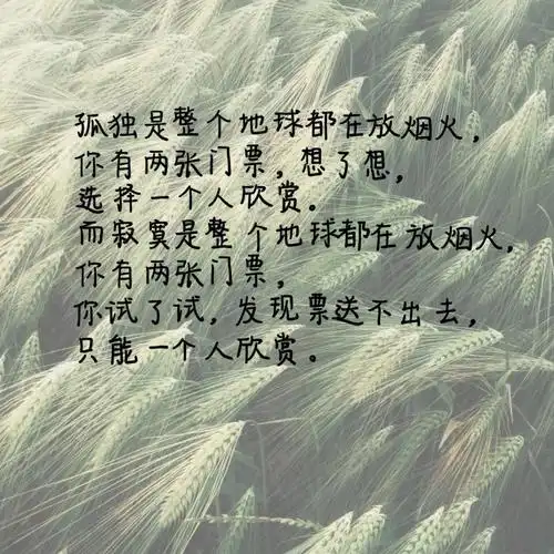 71手写语录关于孤独发呆与无聊