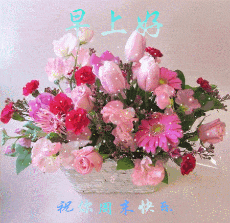 早上好表情图片祝福语大全星期日早安祝福语和图片2020