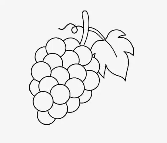 趣味简笔画葡萄基础画法