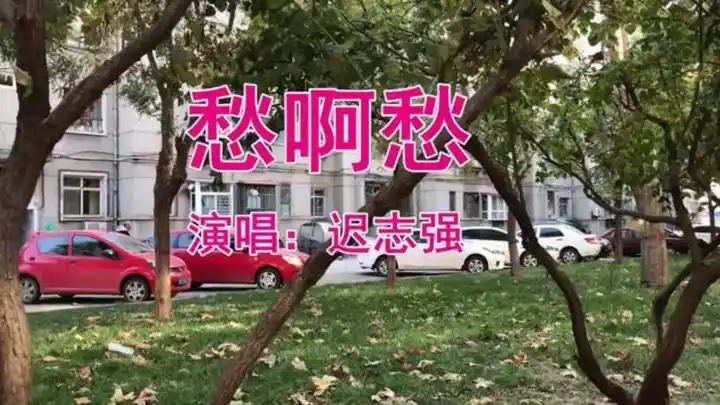 迟志强一首《愁啊愁》30年前的经典老歌,百听不腻!