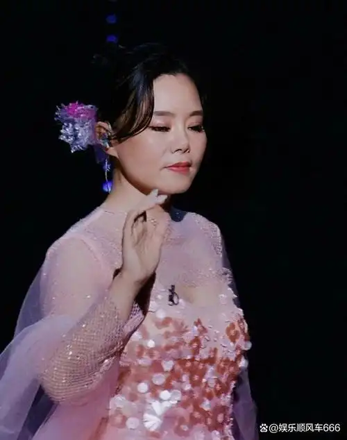 国家一级歌手龚琳娜和来自日本的二次元实力歌手排名第五,观众根本不