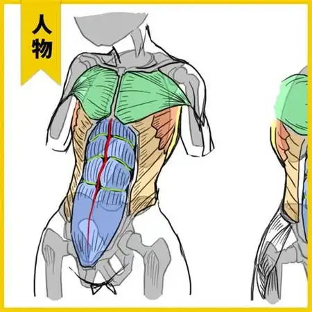 【进击的巨人】三笠哪一话对艾伦说我有八块腹肌?