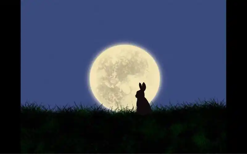 【ipad手绘教程】兔年画只小兔兔77.027777