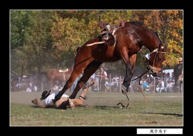 二,被马踩死.