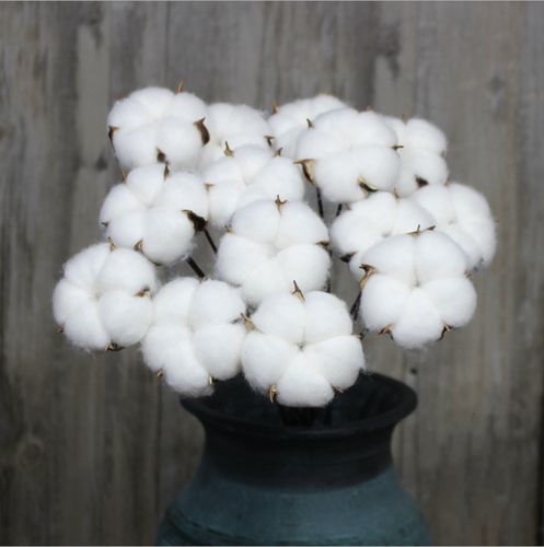 【棉花单支】乡村田园永生木棉花花束室内装饰婚庆干花拍摄道具