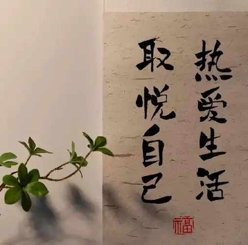 努力赚钱吧~有钱才会万事如意~(朋友圈背景图)