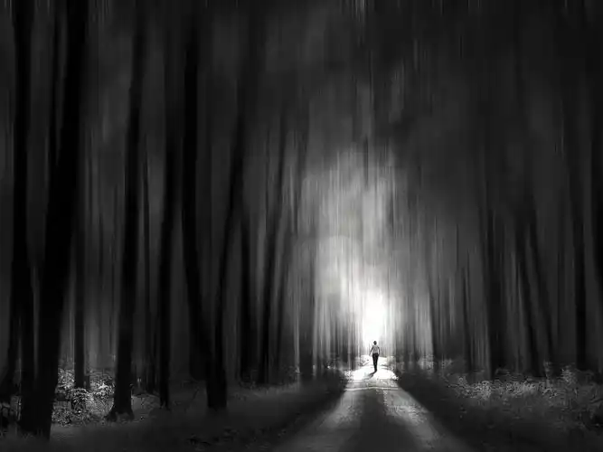 印象主义:灰色的阴影 梦幻摄影黑白风光风景宽屏壁纸壁纸图片