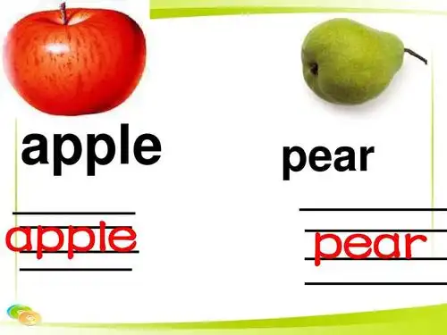 2015年秋人教新版(精通)英语四年级上册《unit 3 its a pineapple》