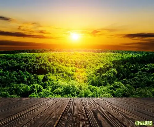 树林木板 日出 绿色树木 木地板 木制 高清图片 图片下载 分辨率350