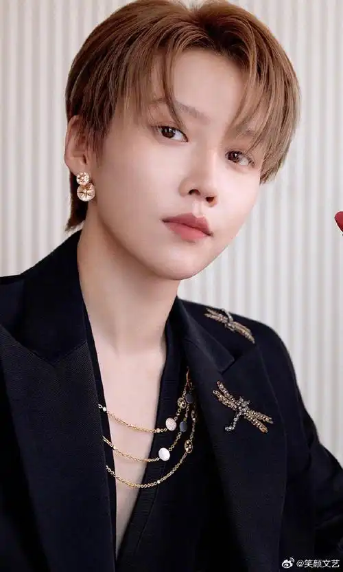 刘雨昕黑色深v内搭##刘雨昕深v黑西装#刘雨昕最新dior广告大片,荷色