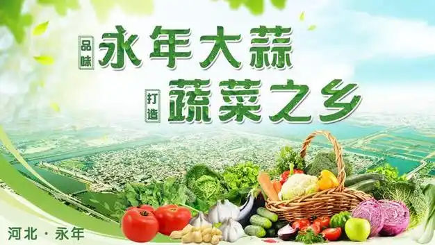 永年蔬菜品牌强势登陆央视