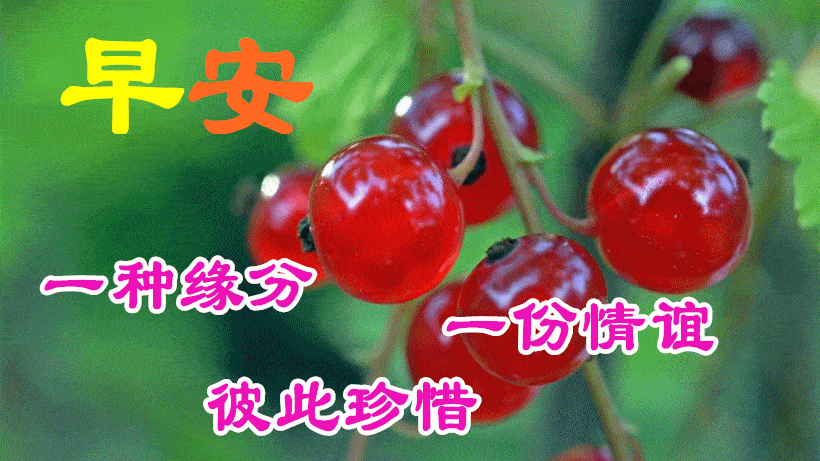 1月27日最漂亮早上好动态表情图片大全,早上好动图美图大全