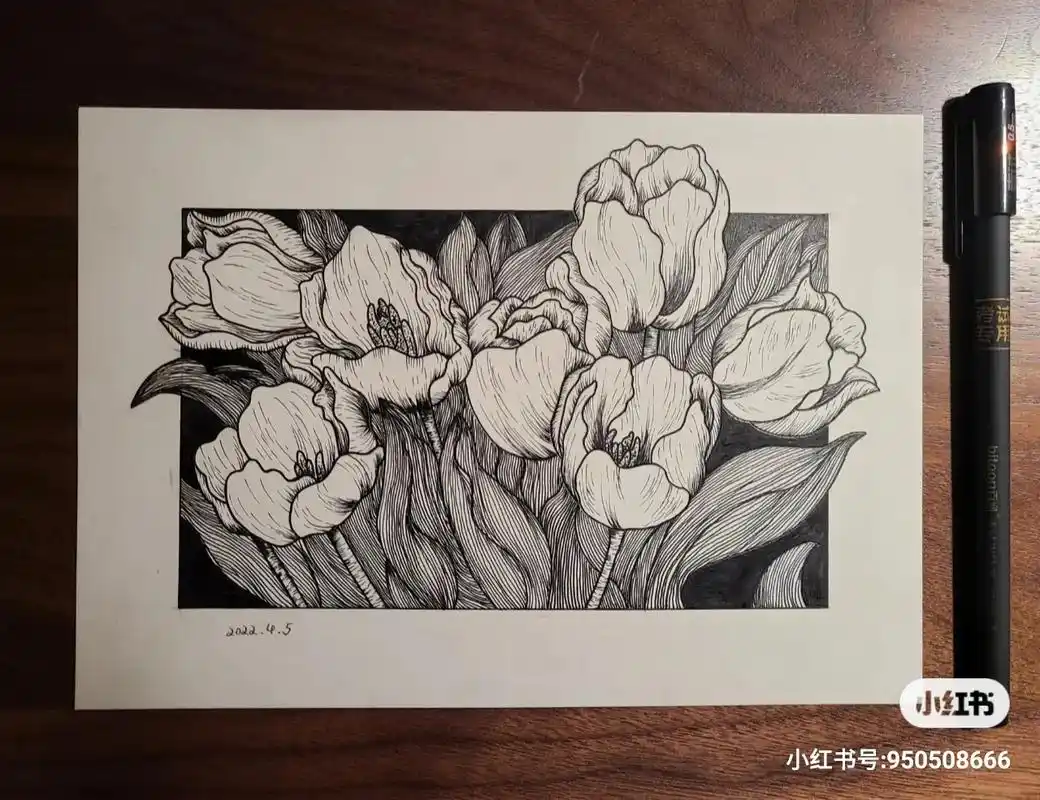 练习3#绘画 #针管笔手绘 #线条 #黑白画 #针管笔  - 抖音