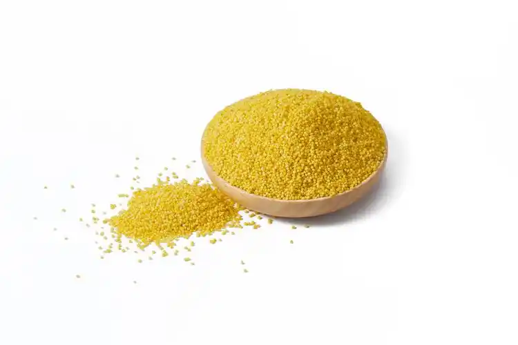 白底木盘黄小米一盘黄小米散落米粒散落黄小米