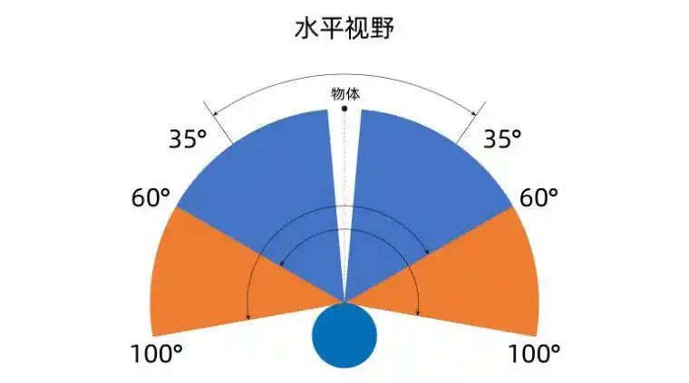 其次,人单眼的水平视角最大可达156度,双眼的水平视角最大可达188度.