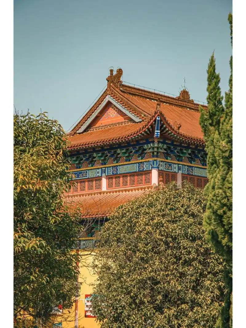 亳州观堂镇观音寺打卡