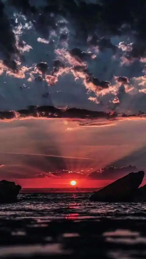 费启鸣动态壁纸_高清竖屏视频下载-火萤壁纸