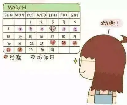 连同排卵日在内共10天称为排卵期其余除月经期以外的时间称为安全期