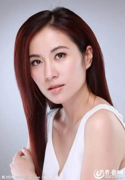 王菲刘嘉玲叶璿杨颖 盘点内地出生却香港爆红的艺人