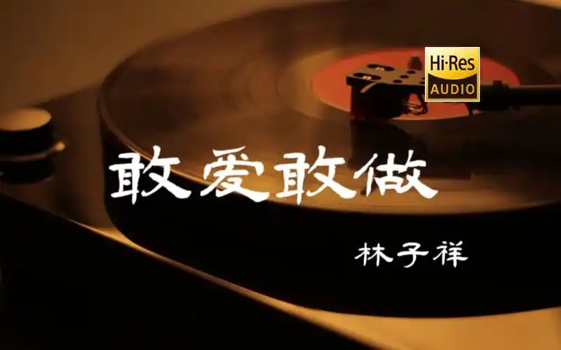 敢爱敢做 - 林子祥【hi-res无损音质】-lionlionxn-可以放的92-哔哩