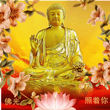 400_400gif 动态图 动图