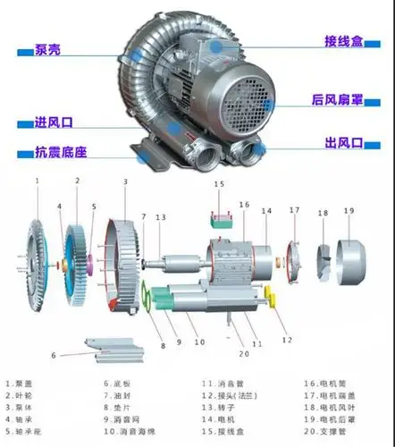 高压鼓风机结构图