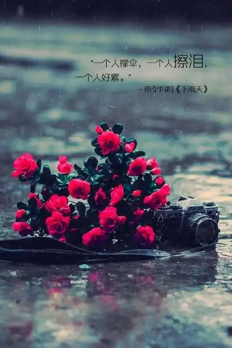 网上很火的伤感图片带字 伤感带字唯美的头像