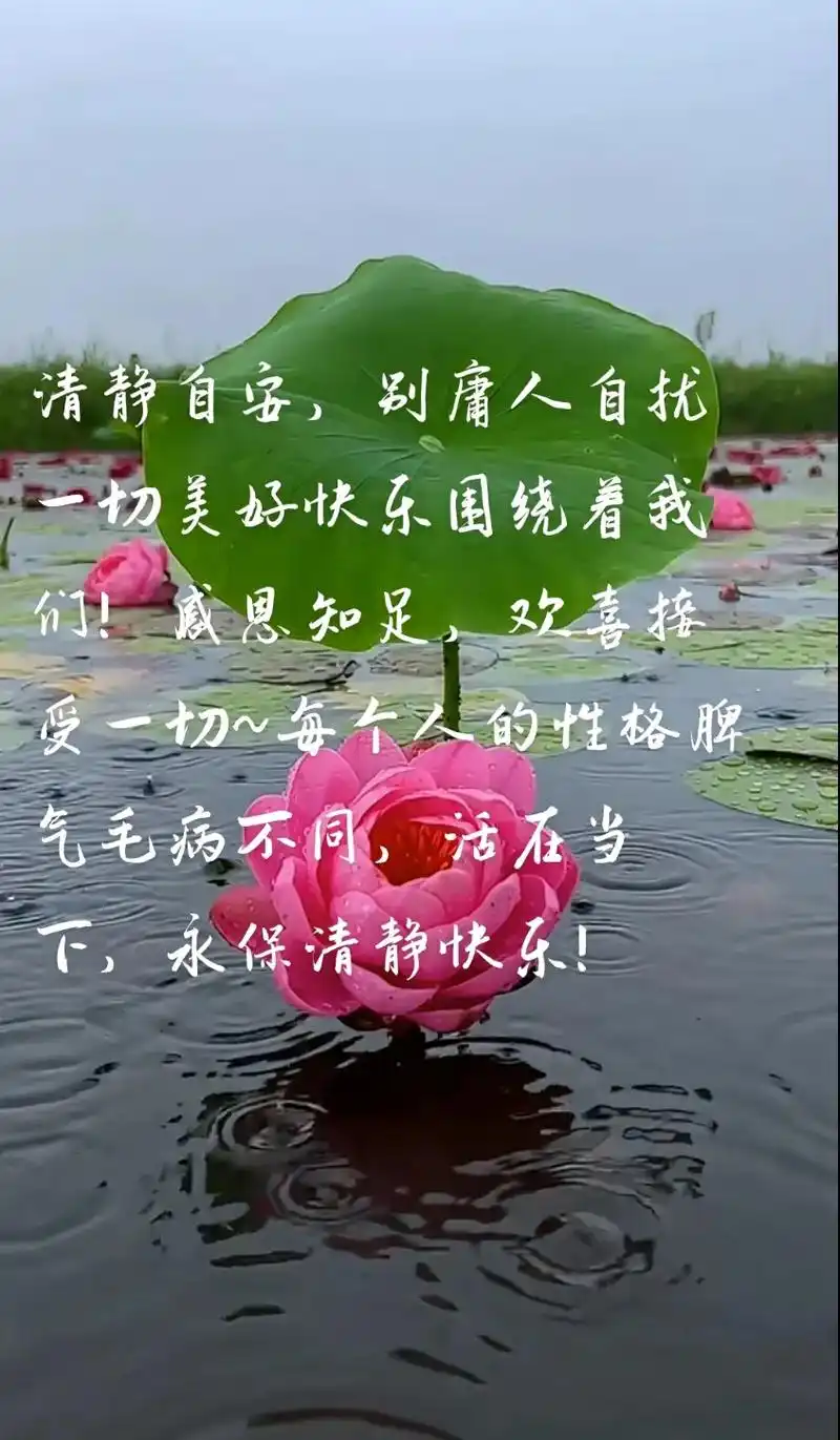 佛语#禅意#愿众生平安吉祥~~如果大家在一起,都没有鼓励的 - 抖音