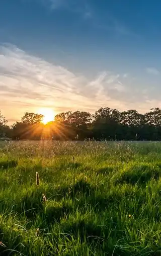 超大自然景色手机壁纸