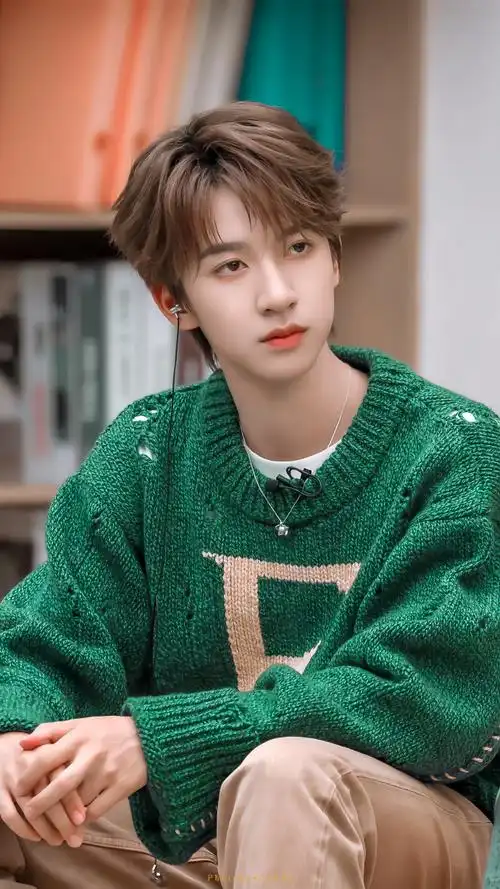 贺峻霖 梦蝶破笼##贺峻霖 令人心动的offer5