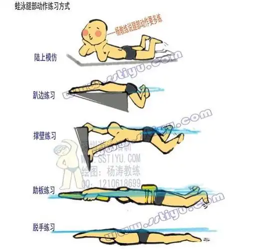 蛙泳( breaststroke)是一种模仿青蛙游泳动作