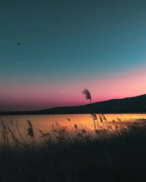 文字控很火的背景图(抖音最火的配图文字)