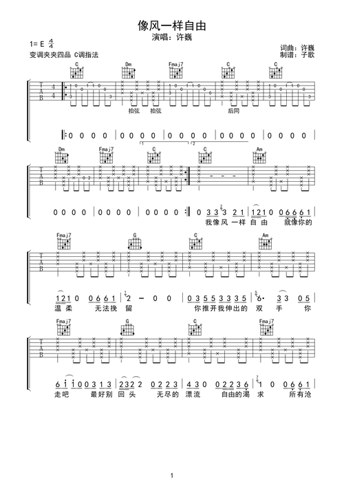 许巍《像风一样自由》吉他谱-c调