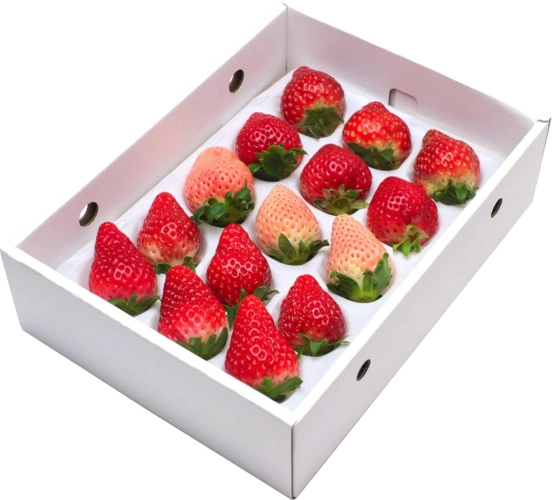 怎样更好的将草莓包装设计有哪些解决方案
