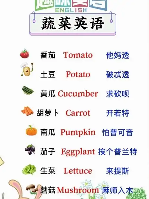 蔬菜英语
