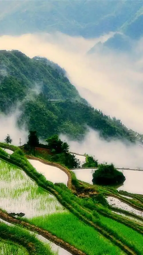 欣赏最美的秀丽风景