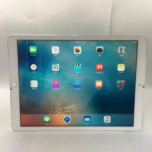 苹果【ipad pro 12.9寸 15款】4g版 银色 128g 国行 99新