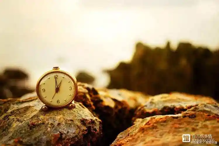 时间过得太快的唯美句子:时光飞逝,回忆如歌