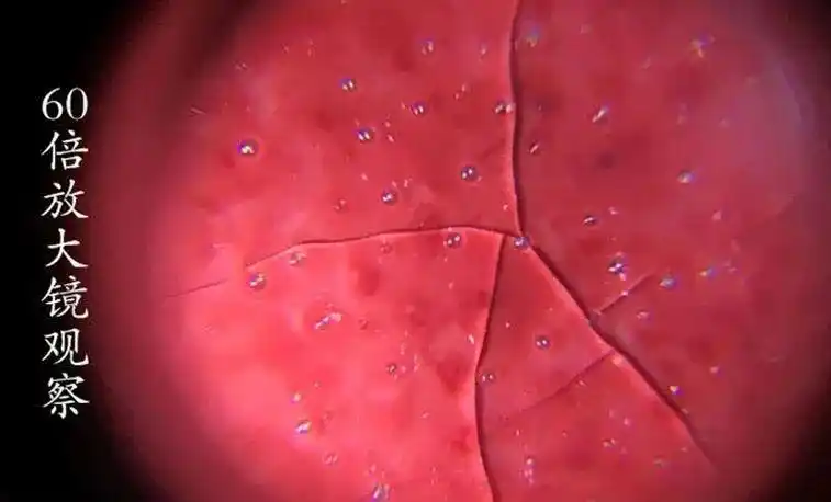 玛瑙入釉的郎窑红千红之冠真国色