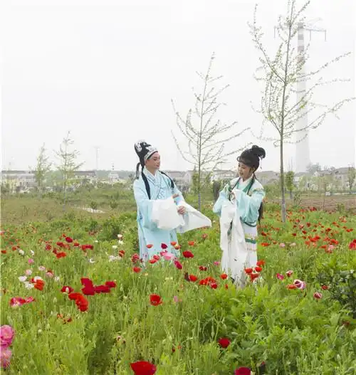 安徽望江黄梅戏曲浸润乡间