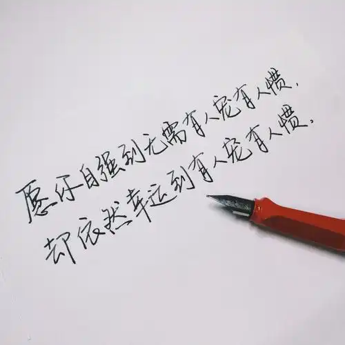 手写,句子,图片,语录,治愈系