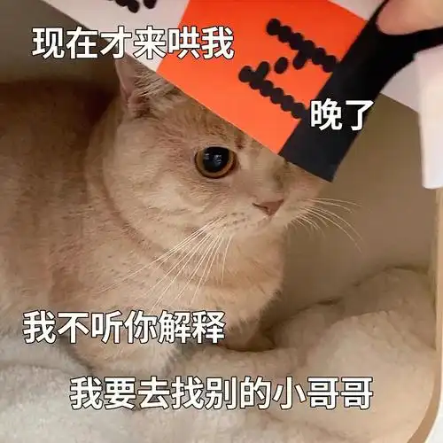 每日分享表情包你去找你的好妹妹吧哼